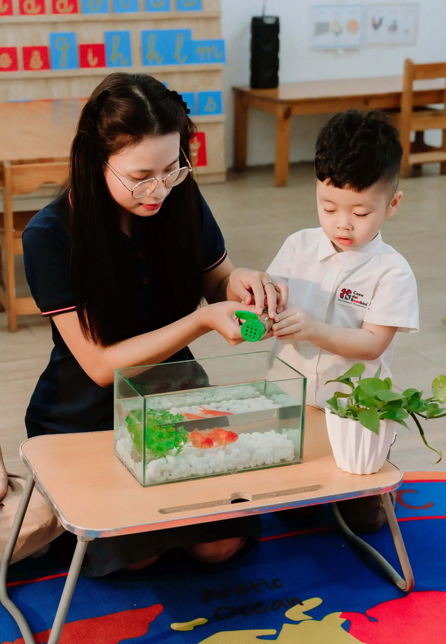 NXH02164 (1) (1) (1)